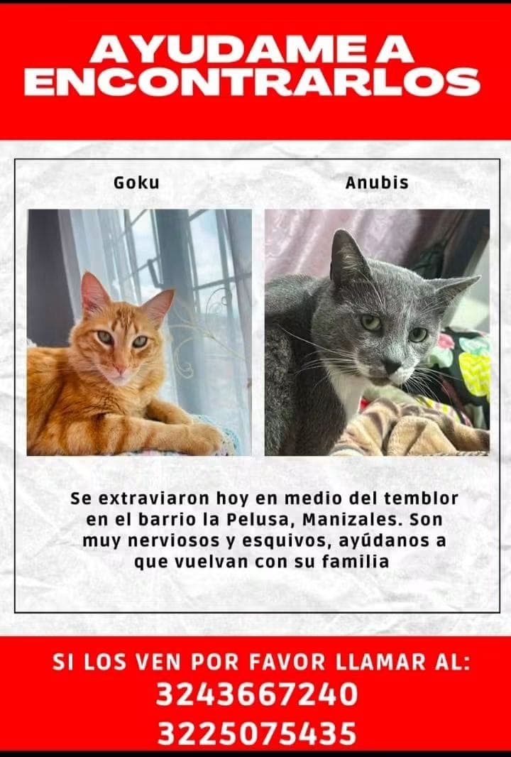 Foto de GOKU - ANUBIS / DESAPARECIDOS